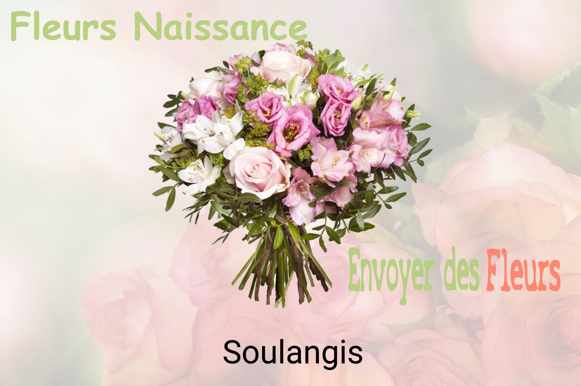Bouquet de fleurs de naissance livré à Soulangis